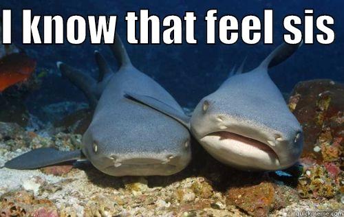 Shark sis - I KNOW THAT FEEL SIS   Compassionate Shark Friend