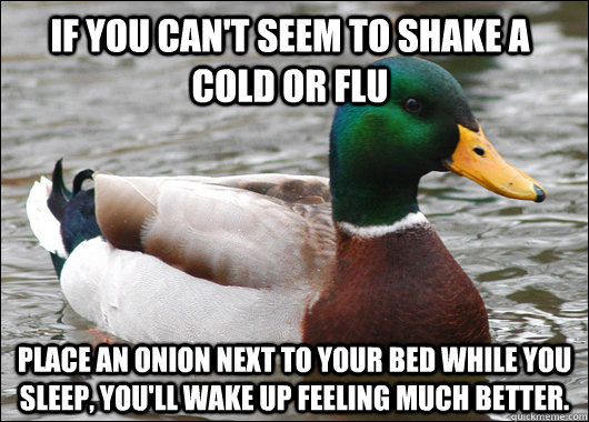 If you can't seem to shake a cold or flu Place an onion next to your bed while you sleep, You'll wake up feeling much better.  Actual Advice Mallard