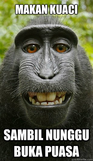 makan kuaci  sambil nunggu buka puasa  Mindful Macaque