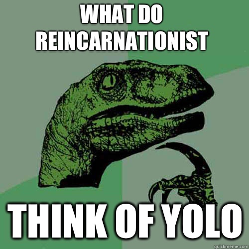 What do reincarnationist Think of yolo  Philosoraptor