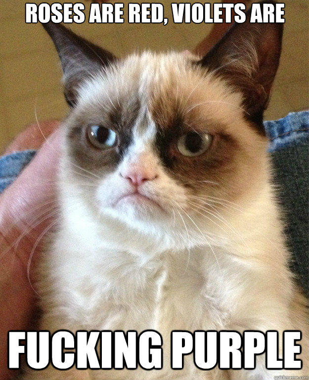 roses are red, violets are fucking purple  Grumpy Cat