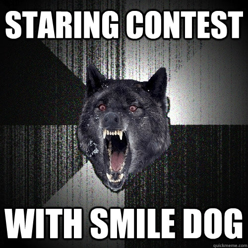 Staring Contest WITH SMILE DOG  Insanity Wolf