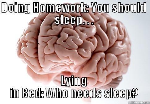 DOING HOMEWORK: YOU SHOULD SLEEP. . . LYING IN BED: WHO NEEDS SLEEP? Scumbag Brain