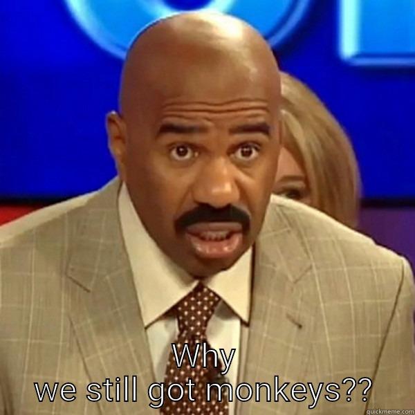  WHY WE STILL GOT MONKEYS?? Misc