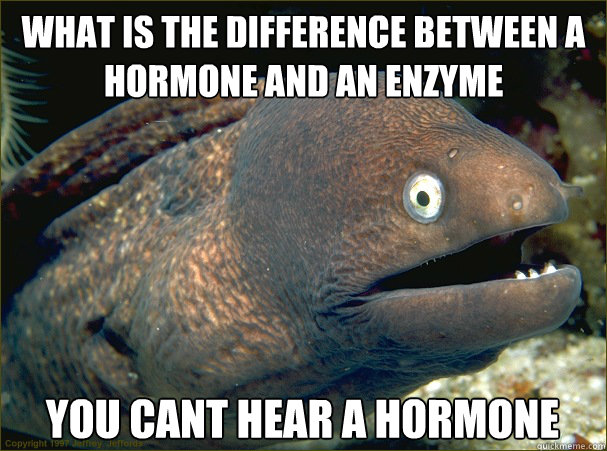 What is the difference between a hormone and an enzyme You cant hear a hormone - What is the difference between a hormone and an enzyme You cant hear a hormone  Bad Joke Eel