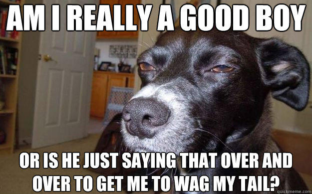 am i really a good boy or is he just saying that over and over to get me to wag my tail?  Skeptical Mutt