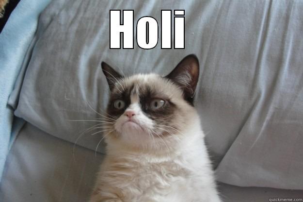 HOLI  Grumpy Cat