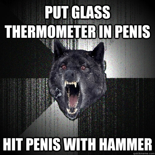put glass thermometer in penis hit penis with hammer   Insanity Wolf