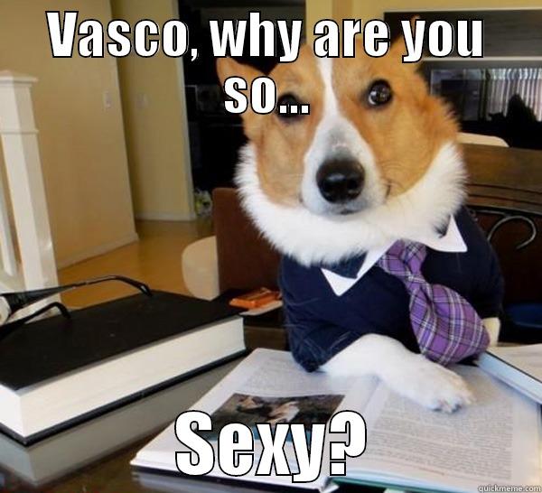 VASCO, WHY ARE YOU SO...              SEXY?            Lawyer Dog