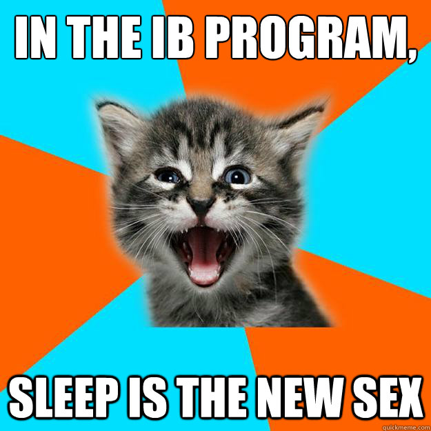 In the ib program, sleep is the new sex  IB Kitten - First Day