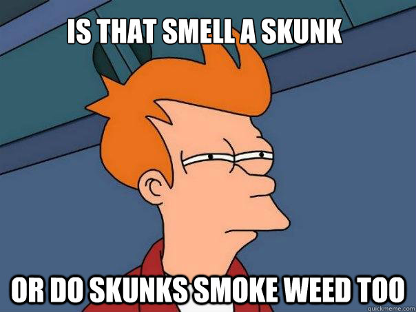 is that smell a skunk or do skunks smoke weed too - is that smell a skunk or do skunks smoke weed too  Futurama Fry