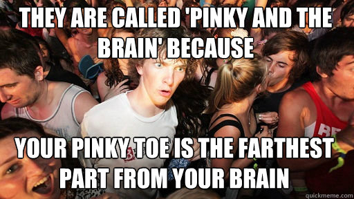 They are called 'Pinky and the Brain' Because Your pinky toe is the farthest part from your brain  Sudden Clarity Clarence