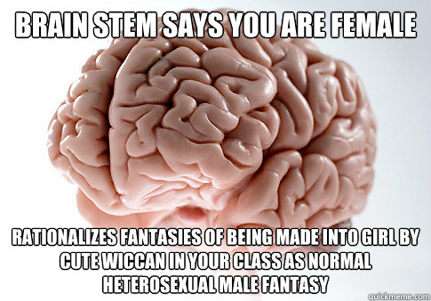 brain stem says you are female rationalizes fantasies of being made into girl by cute wiccan in your class as normal heterosexual male fantasy - brain stem says you are female rationalizes fantasies of being made into girl by cute wiccan in your class as normal heterosexual male fantasy  Scumbag Brain