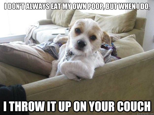 I don't always eat my own poop, but when I do, I throw it up on your couch - I don't always eat my own poop, but when I do, I throw it up on your couch  The Most Interesting Dog in the World