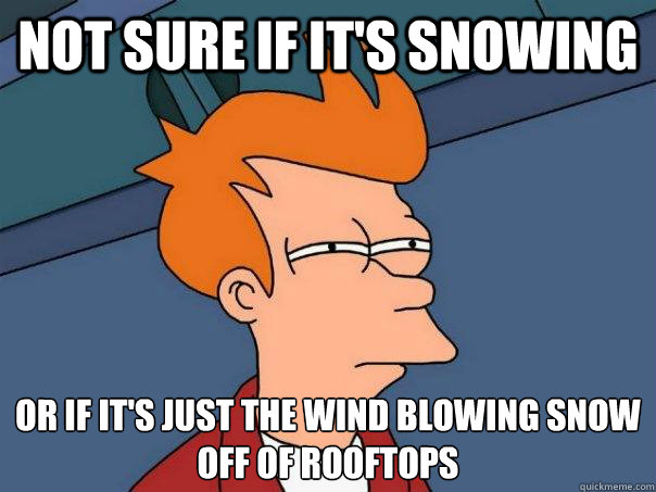 Not sure if it's snowing Or if it's just the wind blowing snow off of rooftops  Futurama Fry