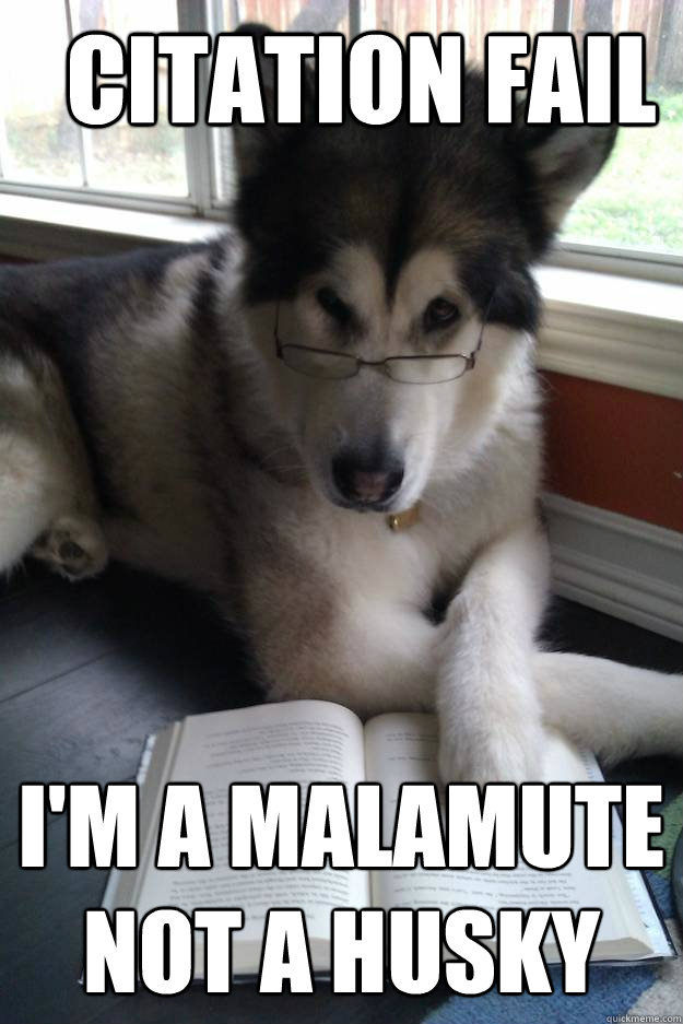 citation fail I'm a malamute not a husky  Condescending Literary Pun Dog