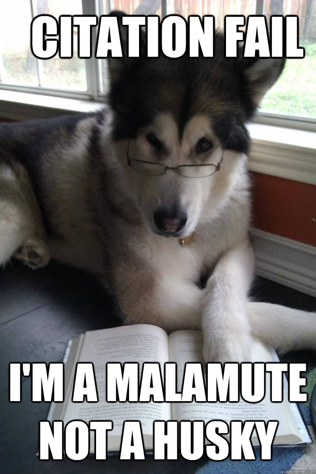 citation fail I'm a malamute not a husky - citation fail I'm a malamute not a husky  Condescending Literary Pun Dog