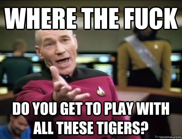 where the fuck do you get to play with all these tigers?  Annoyed Picard HD