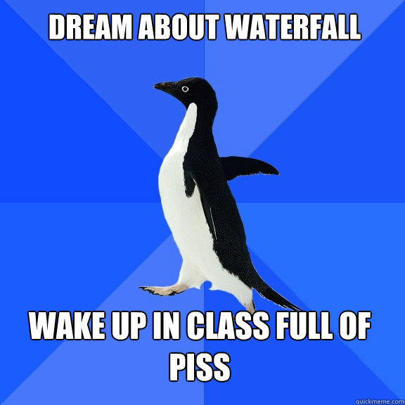 dream about waterfall wake up in class full of piss  Socially Awkward Penguin