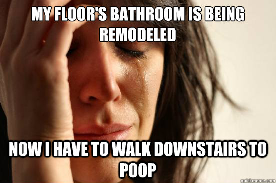 My floor's bathroom is being remodeled  now i have to walk downstairs to poop  First World Problems