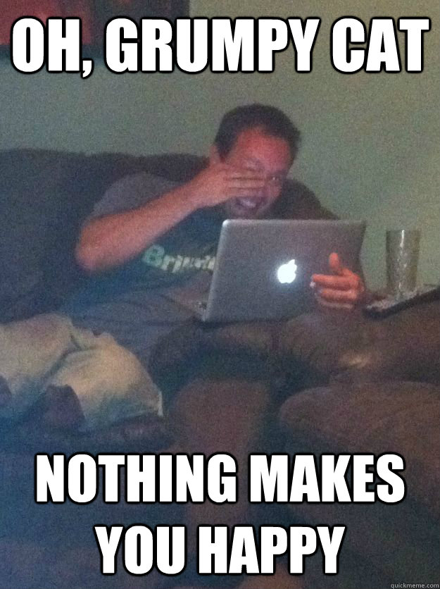 Oh, Grumpy cat nothing makes you happy - Oh, Grumpy cat nothing makes you happy  Reddit Meme Dad