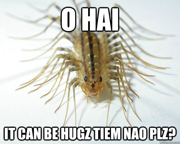 O Hai IT CAN BE HUGZ TIEM NAO PLZ?  