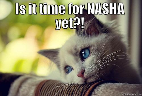 IS IT TIME FOR NASHA YET?!  First World Problems Cat