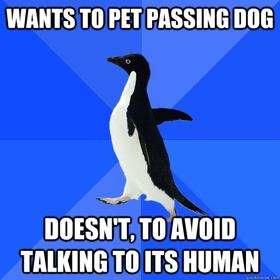 wants to pet passing dog doesn't, to avoid talking to its human  Socially Awkward Penguin