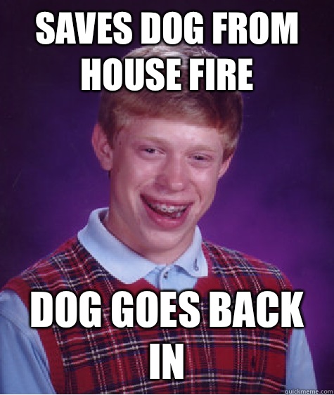 Saves dog from house fire Dog goes back in - Saves dog from house fire Dog goes back in  Bad Luck Brian