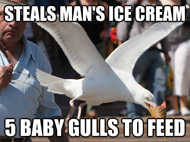Steals man's ice cream 5 baby gulls to feed - Steals man's ice cream 5 baby gulls to feed  Misunderstood Hero Seagull