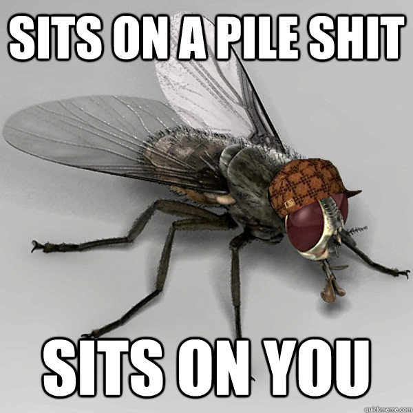 Sits on a pile shit sits on you - Sits on a pile shit sits on you  Scumbag Fly