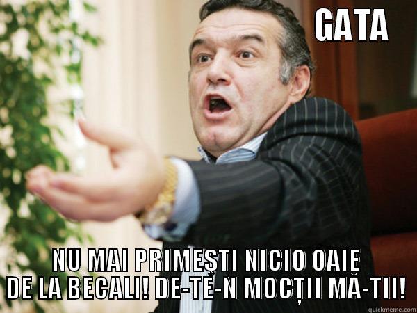                                               GATA NU MAI PRIMEŞTI NICIO OAIE DE LA BECALI! DE-TE-N MOCŢII MĂ-TII! Misc