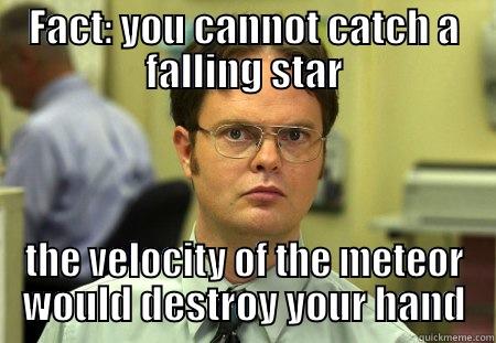 put it in your pocket - FACT: YOU CANNOT CATCH A FALLING STAR THE VELOCITY OF THE METEOR WOULD DESTROY YOUR HAND Dwight