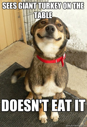 sees giant turkey on the table  doesn't eat it - sees giant turkey on the table  doesn't eat it  Good Dog Greg