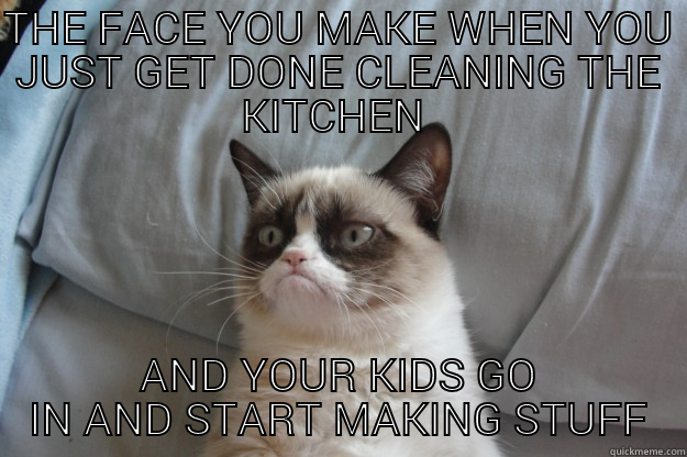 THE FACE YOU MAKE WHEN YOU JUST GET DONE CLEANING THE KITCHEN  AND YOUR KIDS GO IN AND START MAKING STUFF Grumpy Cat