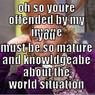 OH SO YOURE OFFENDED BY MY IMAGE YOU MUST BE SO MATURE AND KNOWLDGEABE ABOUT THE WORLD SITUATION Condescending Wonka