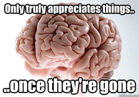 Only truly appreciates things.. ..once they're gone   Scumbag Brain