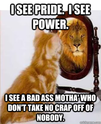 I see pride.  I see power. I see a bad ass motha' who don't take no crap off of nobody. - I see pride.  I see power. I see a bad ass motha' who don't take no crap off of nobody.  Cool Runnings Cat