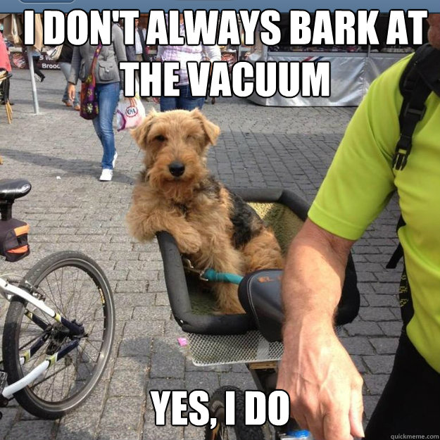 I don't always bark at the vacuum Yes, i do Misc quickmeme