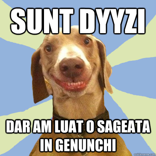 sunt dyyzi dar am luat o sageata in genunchi - sunt dyyzi dar am luat o sageata in genunchi  Disgusting Doggy