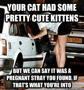 Your cat had some pretty cute kittens But we can say it was a pregnant stray you found, if that's what you're into  FB karma whore