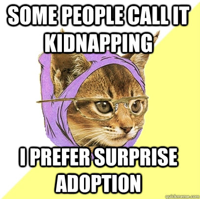 some people call it kidnapping i prefer surprise adoption - some people call it kidnapping i prefer surprise adoption  Hipster Kitty