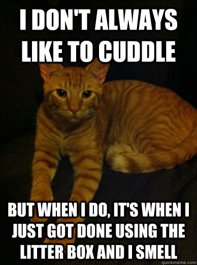 I don't always like to cuddle But when I do, it's when I just got done using the litter box and I smell - I don't always like to cuddle But when I do, it's when I just got done using the litter box and I smell  I dont always like to cuddle