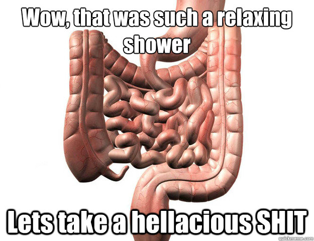 Wow, that was such a relaxing shower Lets take a hellacious SHIT - Wow, that was such a relaxing shower Lets take a hellacious SHIT  Scumbag Intestine