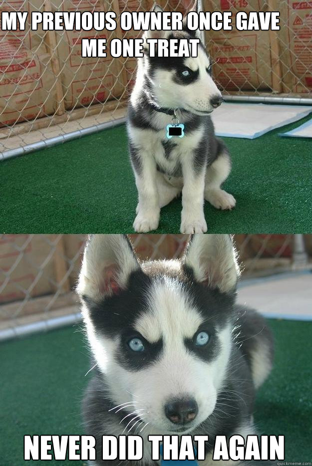 My previous owner once gave me one treat never did that again  Insanity puppy
