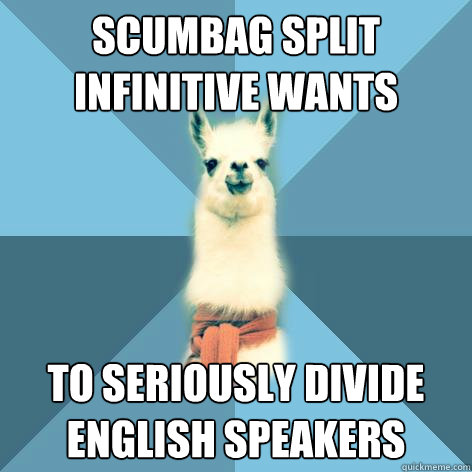 scumbag split infinitive wants to seriously divide english speakers  Linguist Llama