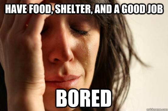 Have food, shelter, and a good job Bored  First World Problems