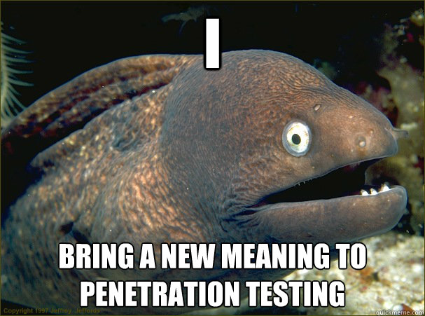 I bring a new meaning to penetration testing - I bring a new meaning to penetration testing  Bad Joke Eel