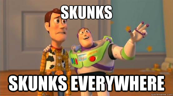 Skunks Skunks everywhere  Buzz Glitter