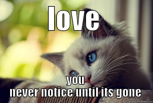 LOVE YOU NEVER NOTICE UNTIL ITS GONE First World Problems Cat